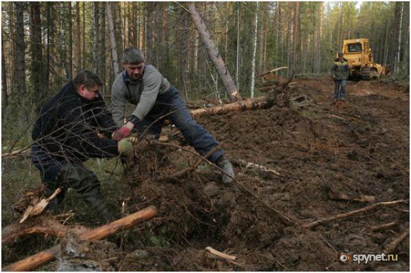 Наихудшая дорога в мире (20 фото)